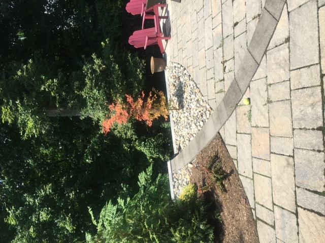 hardcaping backyard